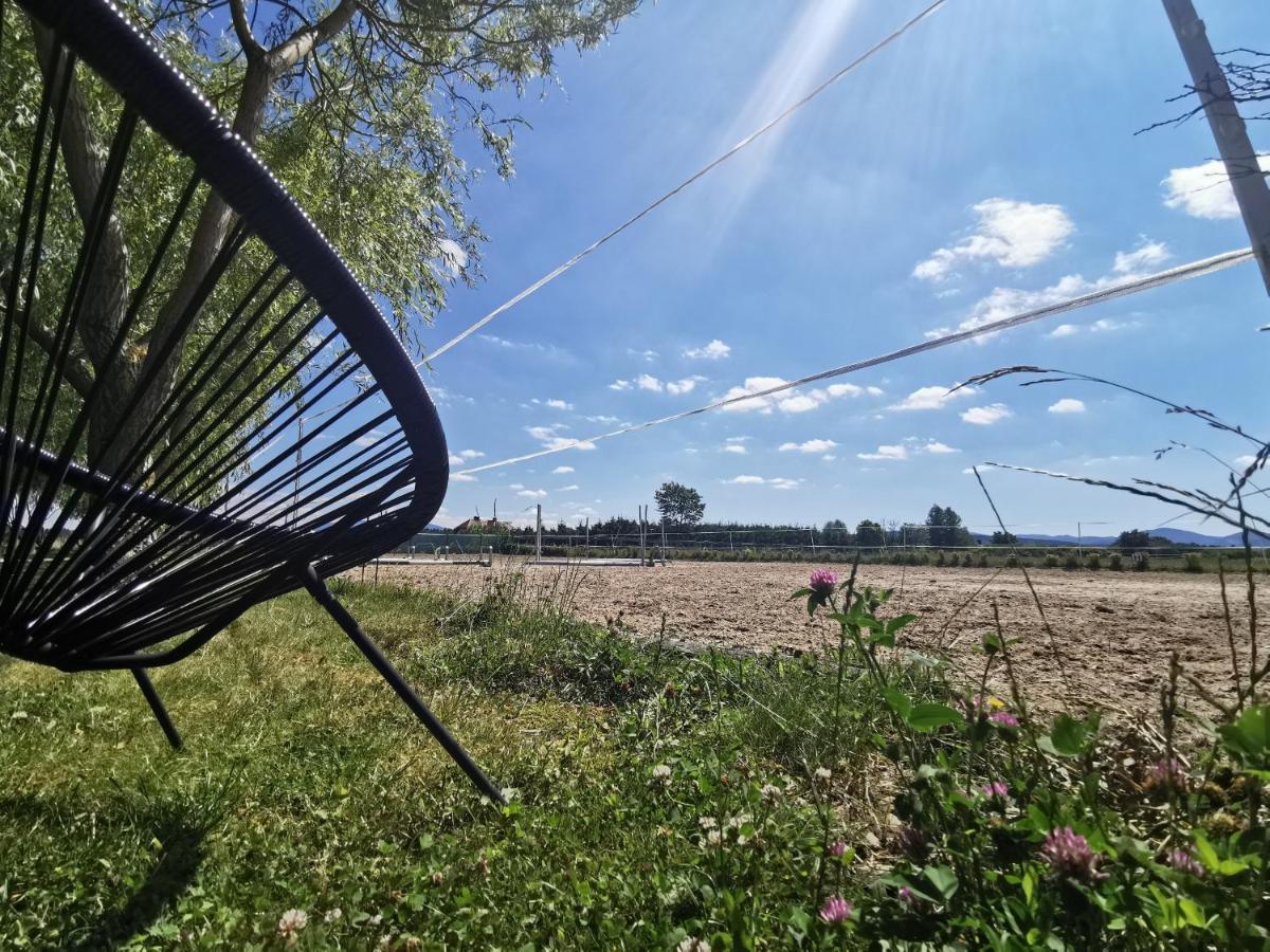 Podkowa Modliszow Villa Kültér fotó