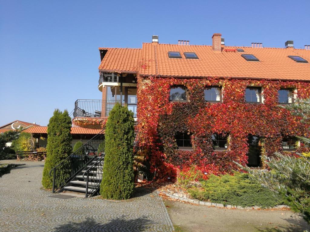 Podkowa Modliszow Villa Kültér fotó